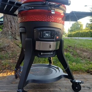 Kamado grill